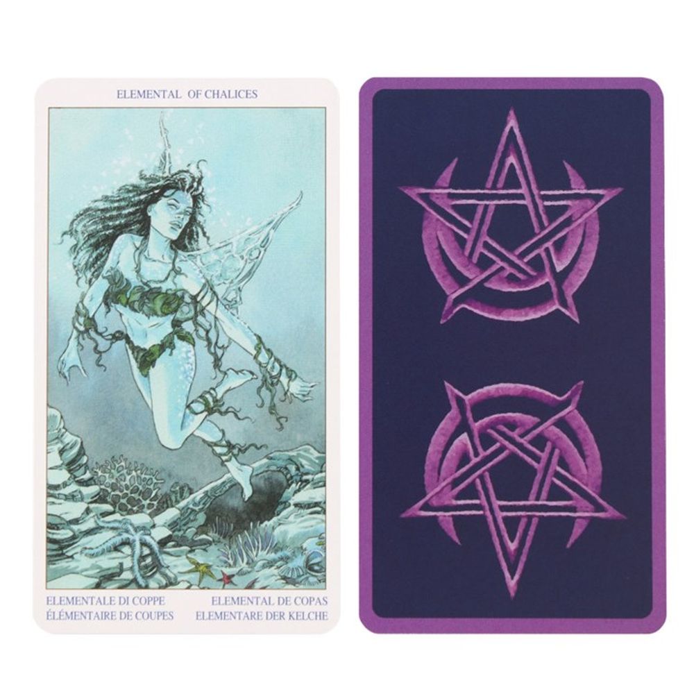 Pagan Tarot Card Deck Designed to help represent the spiritual and religious journey of a Wicca, this deck of 78 cards are beautifully designed by Gina M. Pace (Wicce), Luca Raimondo and Cristiano Spadoni. Free UK Delivery by Fandomonium