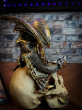 Steampunk Dragon Skull - Free UK Delivery by Fandomonium