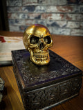 This expertly crafted box will bring macabre opulence to any room! Sat on a large black box, covered in Celtic patterns, is a small golden skull, simple yet strikingly stylish. Lift the skull upwards to reveal the perfect place to store all of your treasure. Free UK Delivery by Fandomonium