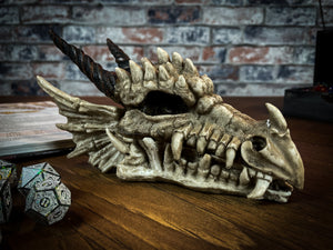 This realistic Dragon Skull would be a welcome addition to any alternative home! Featuring different textures and slight cracks in the bone, this skull looks completely true to life. Free UK Delivery from Fandomonium