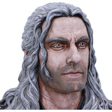 The Witcher Geralt of Rivia Bust