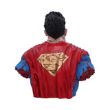 Superman DCeased Bust