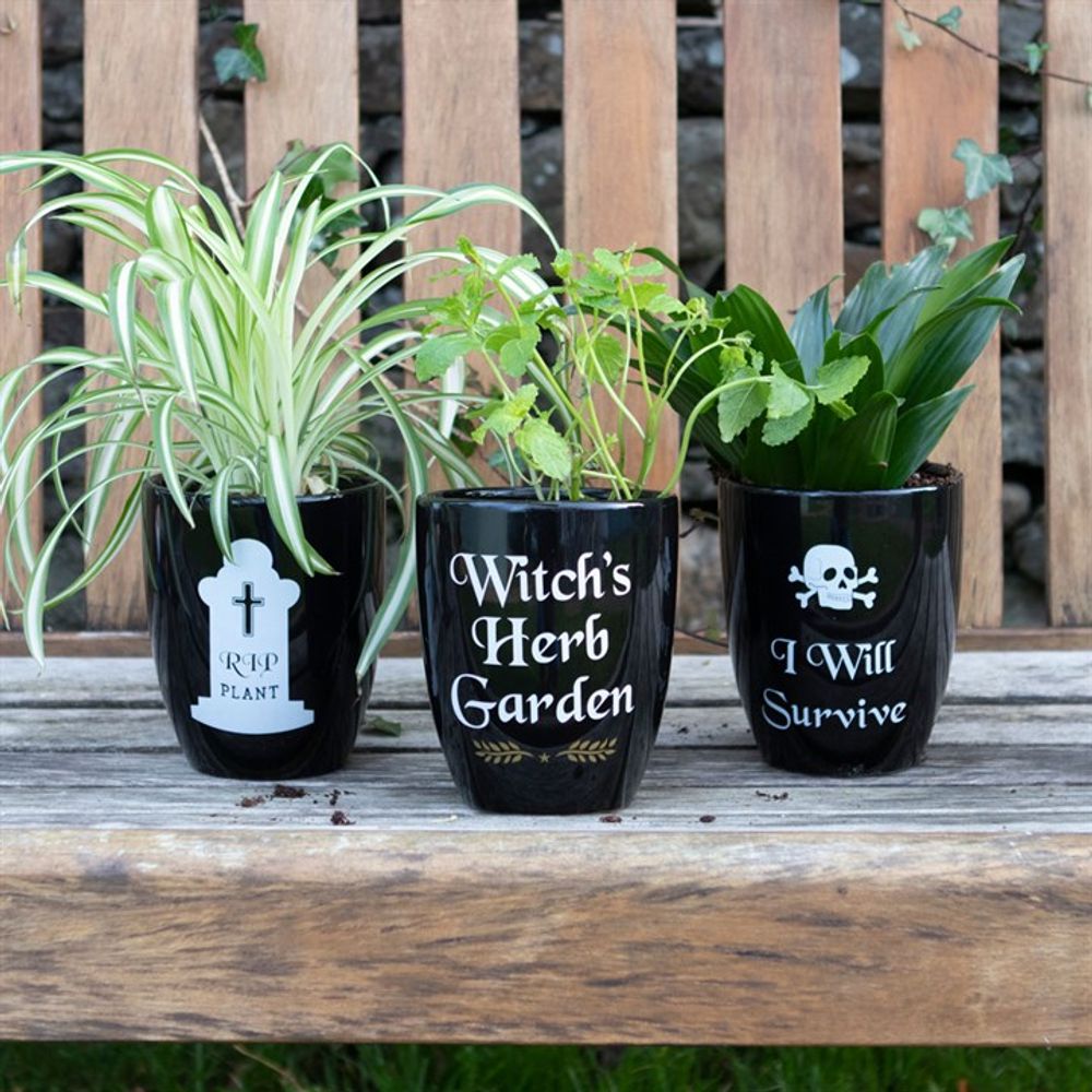 We've all got that one friend (or we are that one friend) that doesn't have much luck with plants and this 'RIP Plant' plant pot is sure to get a few laughs whilst offering a challenge for developing horticultural talents. Free UK delivery by Fandomonium